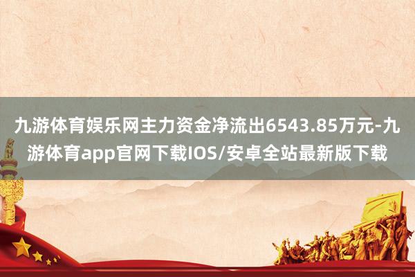 九游体育娱乐网主力资金净流出6543.85万元-九游体育app官网下载IOS/安卓全站最新版下载