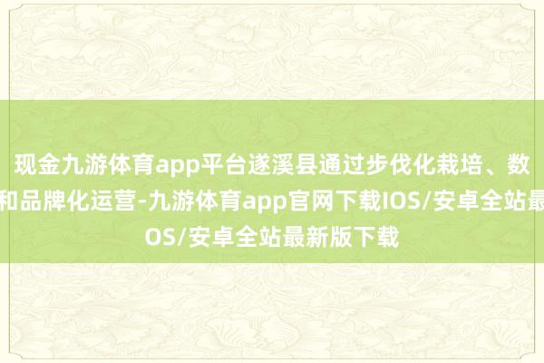 现金九游体育app平台遂溪县通过步伐化栽培、数字化监管和品牌化运营-九游体育app官网下载IOS/安卓全站最新版下载