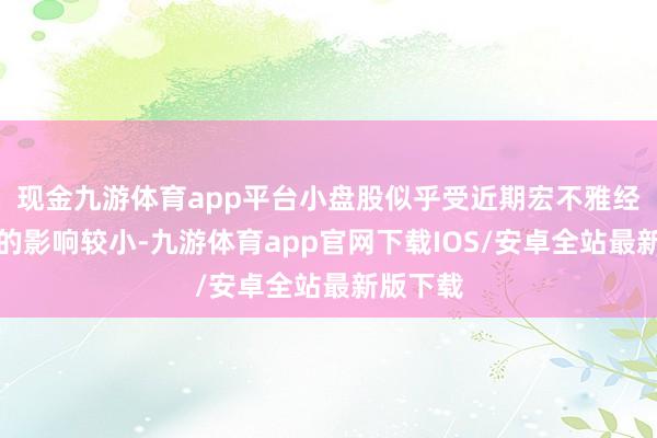 现金九游体育app平台小盘股似乎受近期宏不雅经济新闻的影响较小-九游体育app官网下载IOS/安卓全站最新版下载