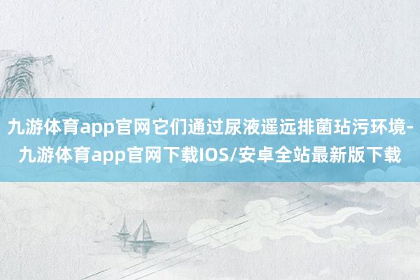 九游体育app官网它们通过尿液遥远排菌玷污环境-九游体育app官网下载IOS/安卓全站最新版下载